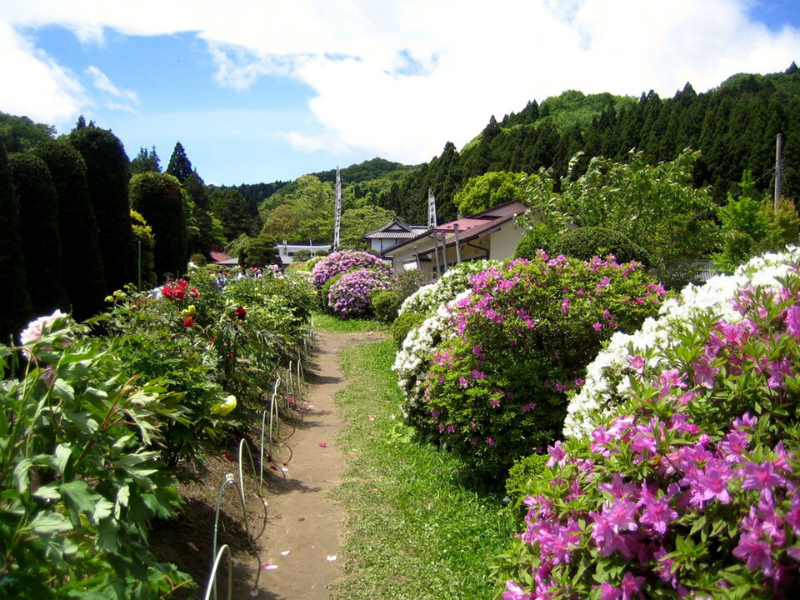 参拝後に立ち寄りたい境内の開運スポット