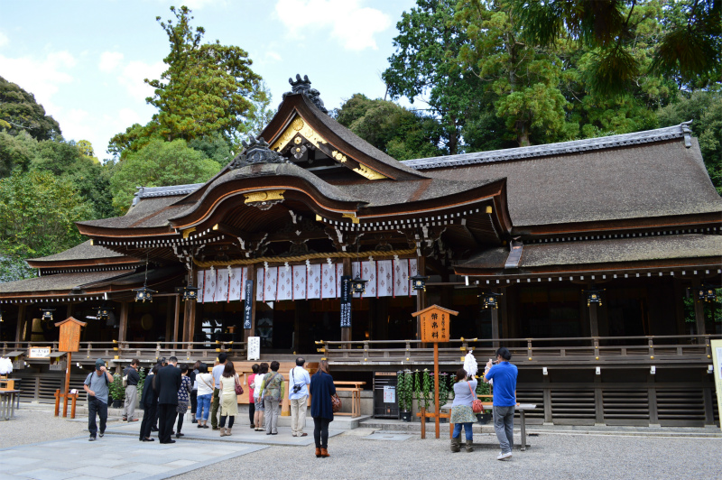 神社の最古ランキング決定版！歴史や創建年代から見る日本の起源