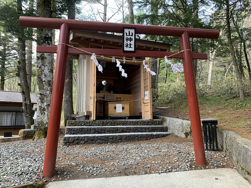 最強の開運画像はこれ！新屋山神社や明治神宮の具体的な活用例