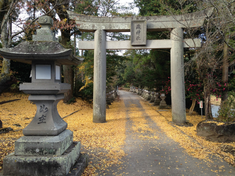 美しい花手水が魅力!嵐山瀧神社