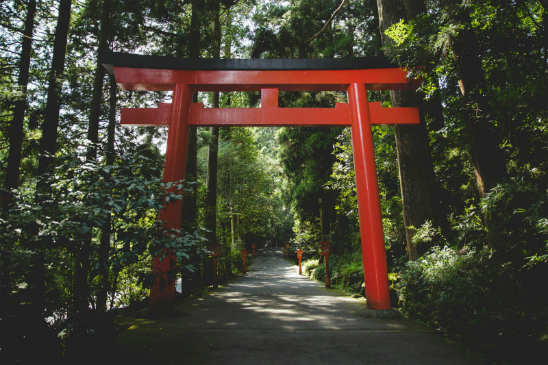 神社参拝後に眠いのは好転反応？疲れる原因とスピリチュアルな意味