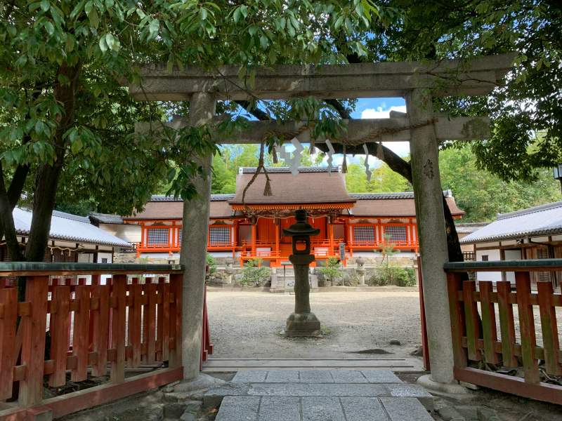 神社参拝後の「好転反応」とは？スピリチュアルな浄化の証