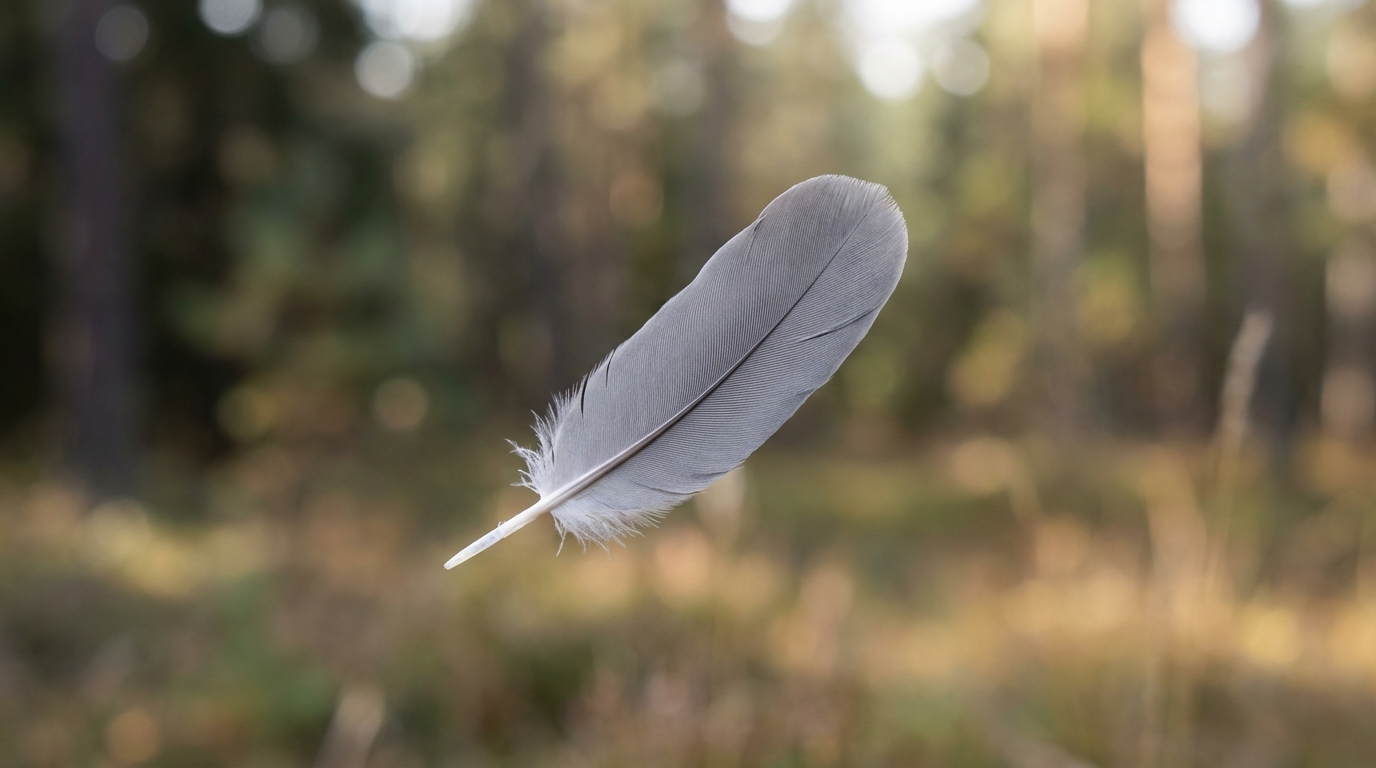 グレーの羽は「中立」と「平和」を伝える大切なメッセージ