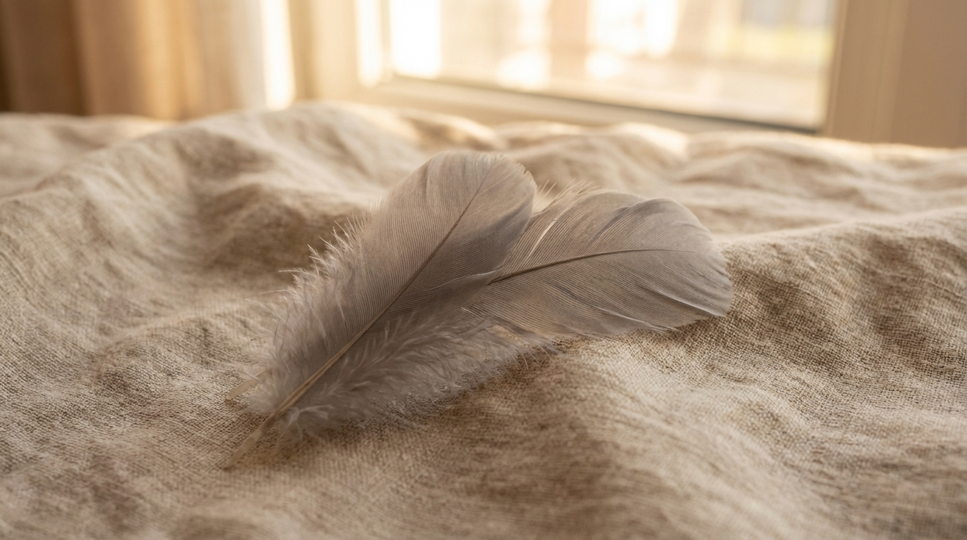 恋愛や復縁に関するメッセージと受け取り方